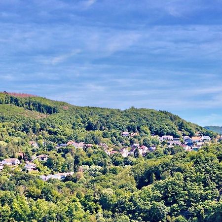 Natur Panorama Suiten Am Rursee Heimbach Exterior foto
